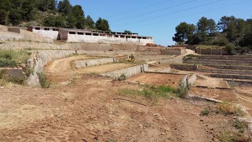imagen 4 de Venta de finca con nave en Xeresa (Valencia)
