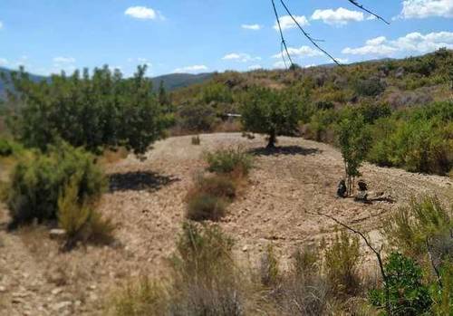 imagen 1 de Venta de terreno en Gestalgar