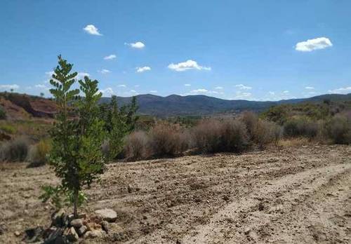 imagen 3 de Venta de terreno en Gestalgar