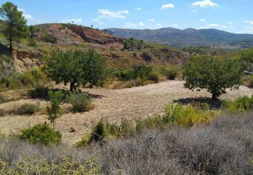 imagen 2 de Venta de terreno en Gestalgar