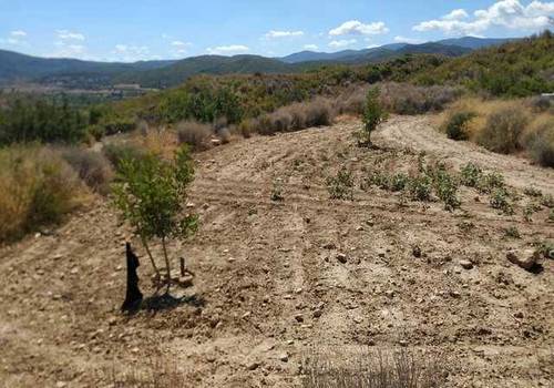 imagen 4 de Venta de terreno en Gestalgar