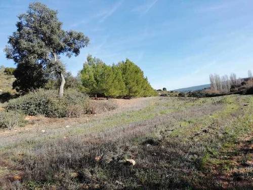 imagen 1 de Venta de finca en Villagordo de Cabriel (Valencia)