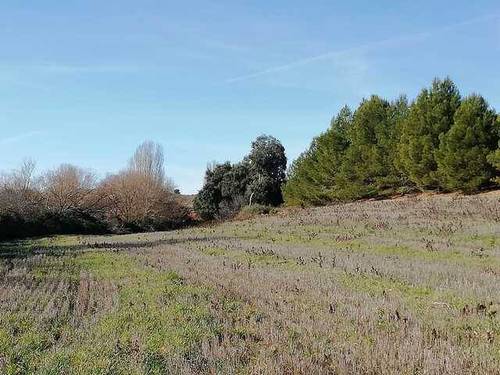 imagen 1 de Venta de finca en Villagordo de Cabriel (Valencia)