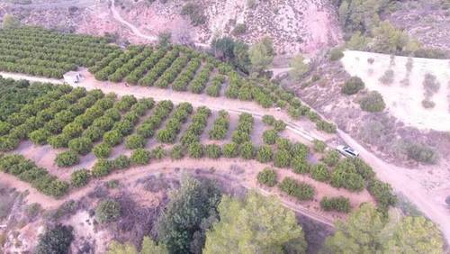 imagen 1 de Venta de finca de naranjos en Xátiva
