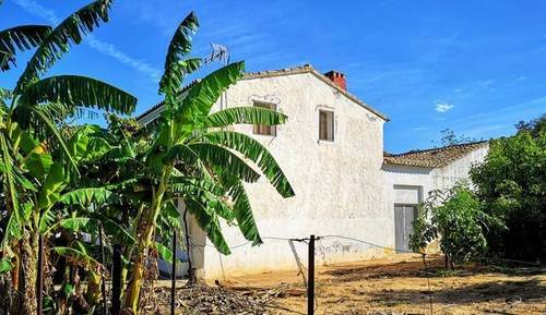 imagen 1 de Venta de finca de naranjos con casa rural en Valencia
