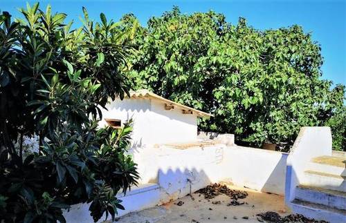 imagen 6 de Venta de finca de naranjos con casa rural en Valencia