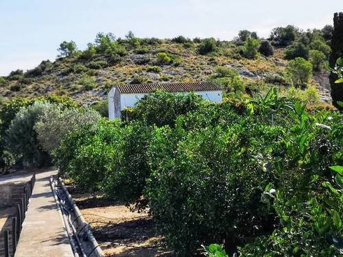 imagen 5 de Venta de finca de naranjos con casa rural en Valencia
