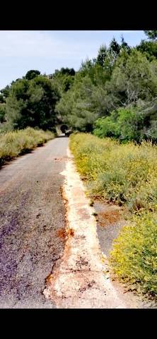 imagen 2 de Venta de terreno rústico a pie de carretera en Gilet