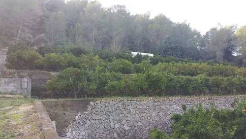 imagen 1 de Venta de finca con vistas al mar y casa rural en Valencia