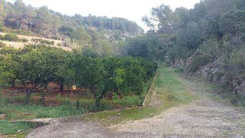 imagen 1 de Venta de finca con vistas al mar y casa rural en Valencia