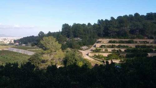 imagen 4 de Venta de finca con vistas al mar y casa rural en Valencia