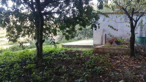 imagen 5 de Venta de finca con vistas al mar y casa rural en Valencia