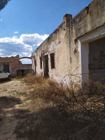 imagen 6 de Venta de terreno en Guadassuar (Valencia)