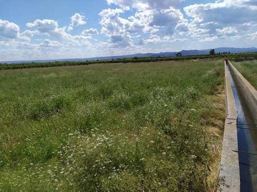 imagen 3 de Venta de terreno en Guadassuar (Valencia)