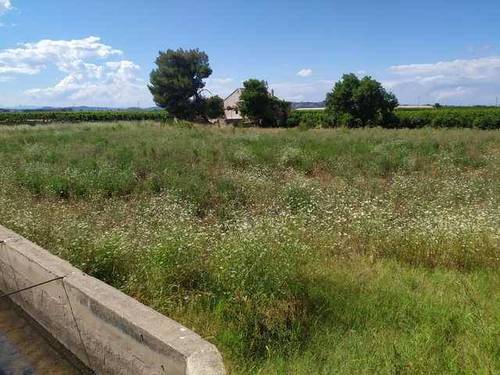imagen 5 de Venta de terreno en Guadassuar (Valencia)