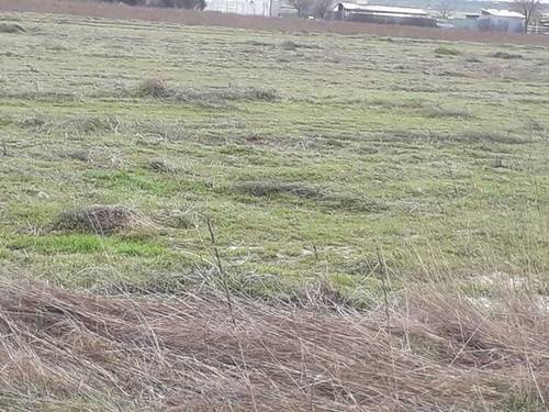 imagen 2 de Venta de terreno rústico en Tordesillas (Valladolid)