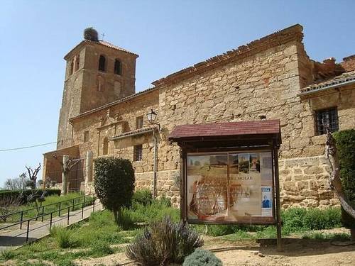 imagen 1 de Venta de terreno bueno para viñedo (Valladolid)