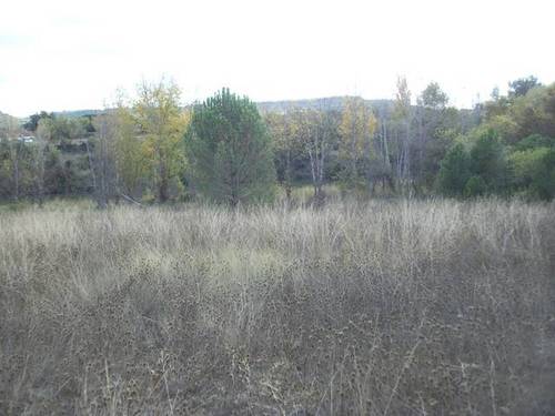 imagen 2 de Venta de finca rústica en Tudela de Duero (Valladolid)