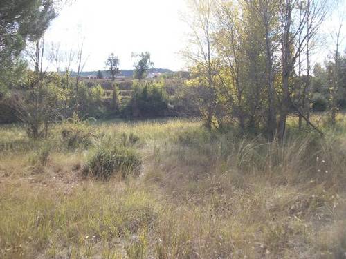 imagen 1 de Venta de finca rústica en Tudela de Duero (Valladolid)