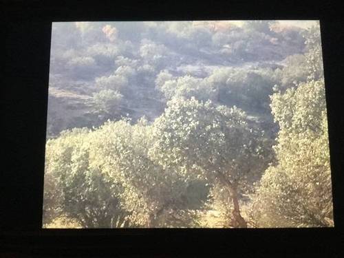 imagen 1 de Venta de finca con explotación extensiva de porcino en Urueña