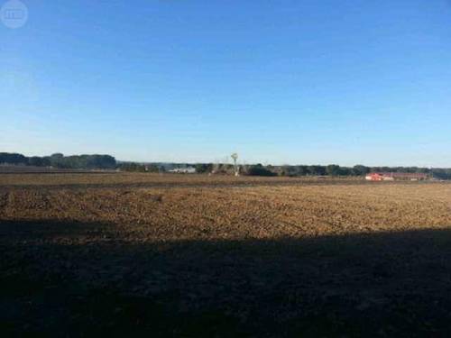 imagen 1 de Venta de parcelas de regadío en Villanueva de Duero