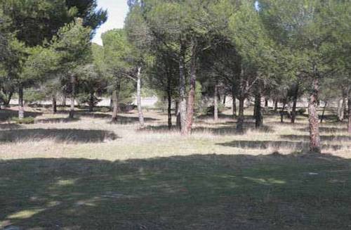 imagen 1 de Venta o alquiler de parcela en Alcazarén (Valladolid)