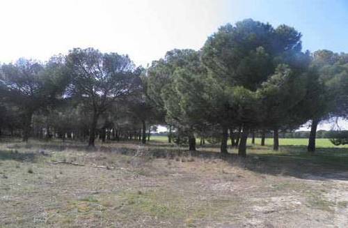 imagen 2 de Venta o alquiler de parcela en Alcazarén (Valladolid)