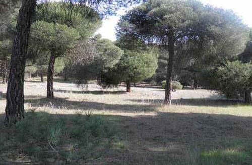 imagen 3 de Venta o alquiler de parcela en Alcazarén (Valladolid)
