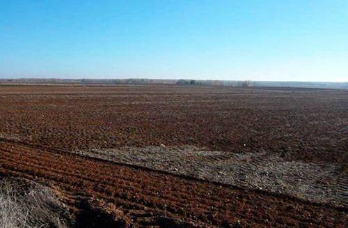 imagen 1 de Venta de parcela en Saelices de Mayorga (Valladolid)