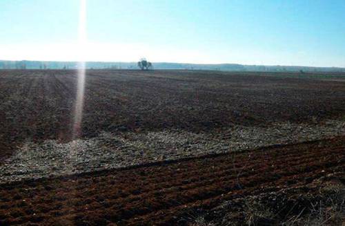 imagen 1 de Venta de parcela en Saelices de Mayorga (Valladolid)