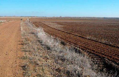 imagen 2 de Venta de parcela en Saelices de Mayorga (Valladolid)