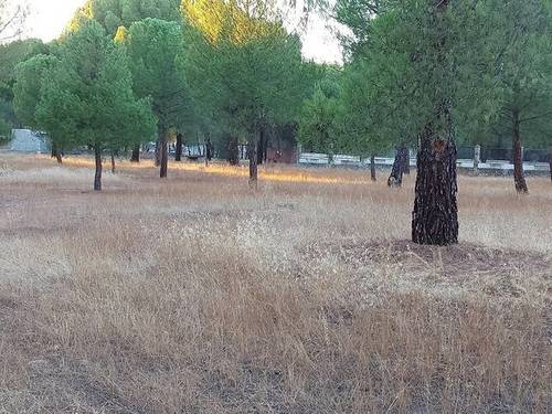 imagen 2 de Venta de parcela en Valladolid Urb Las Brazuelas