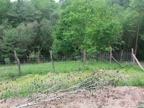 imagen 3 de Venta de terreno rústico con invernadero en Erandio (Vizcaya)