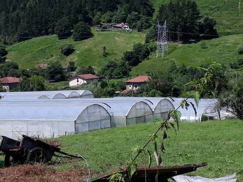 imagen 1 de Venta o alquiler de finca rústica