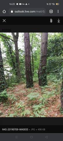 imagen 2 de Venta de finca en Barrika Vizcaya