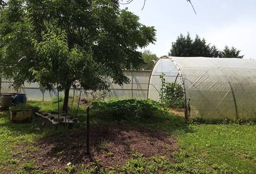 imagen 1 de Venta de finca con invernadero en Erandio