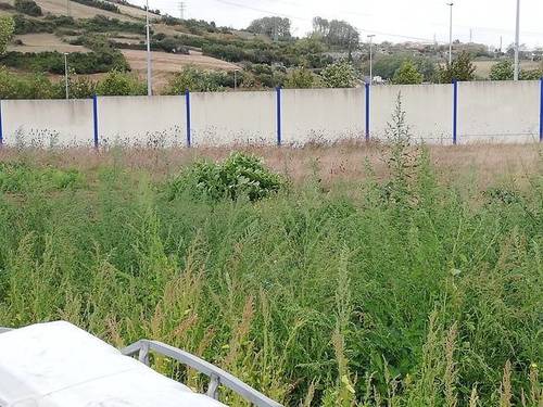 imagen 1 de Venta de finca con luz y agua en Santurtzi