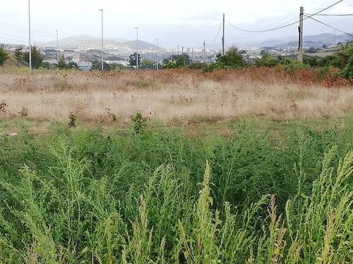 imagen 2 de Venta de finca con luz y agua en Santurtzi