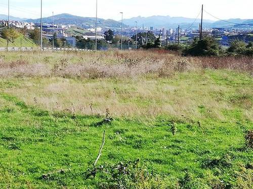 imagen 3 de Venta de finca con luz y agua en Santurtzi