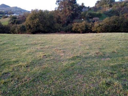 imagen 2 de Venta de fincas en Abanto y Ziervana (Bizkaya)