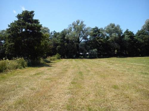 imagen 2 de Venta de terreno llano en Mungía