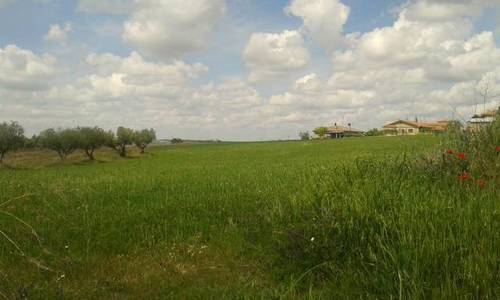 imagen 1 de Venta de finca urbana en Fermoselle (Zamora)