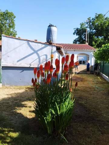 imagen 4 de Venta de finca de nogales con vivienda en Benavente