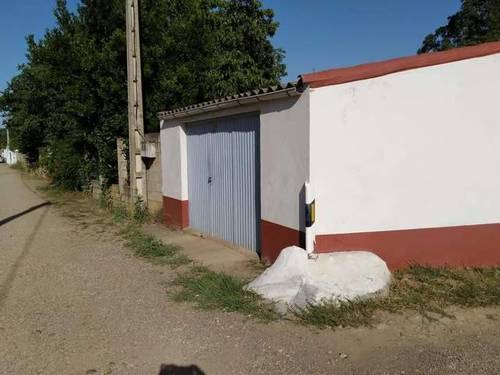 imagen 6 de Venta de finca de nogales con vivienda en Benavente