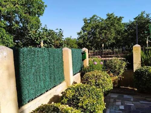imagen 5 de Venta de finca de nogales con vivienda en Benavente