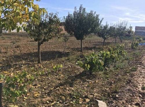 imagen 1 de Venta de finca de regadío en San Román del Valle