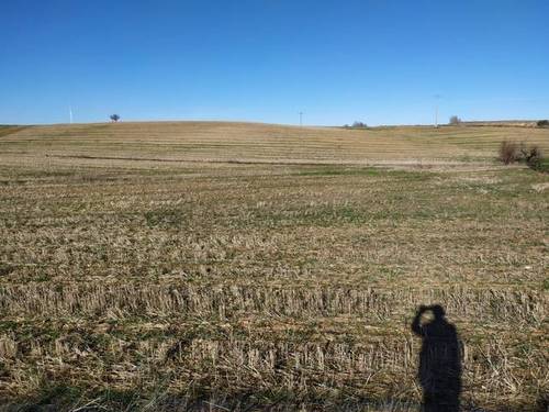 imagen 1 de Venta de terreno en Roales (Zamora)