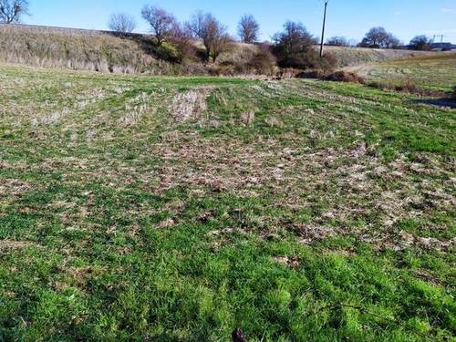 imagen 1 de Venta de terreno en Roales (Zamora)