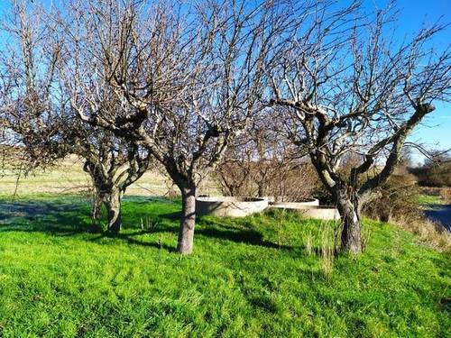imagen 5 de Venta de terreno en Roales (Zamora)