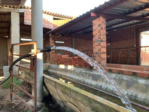 imagen 3 de Venta de finca con agua y luz en Zamora